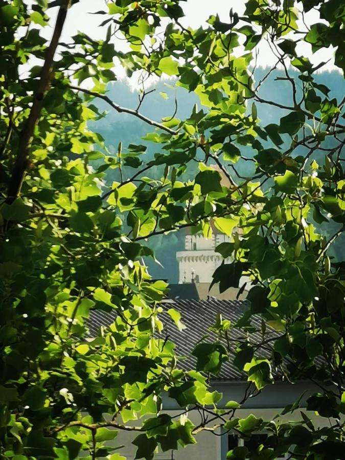 Zentrumsnahe Privatunterkunft Freistadt Esterno foto